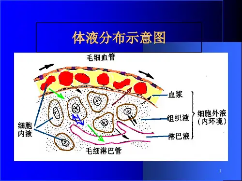 2018年血液生理PPT课件-文档资料