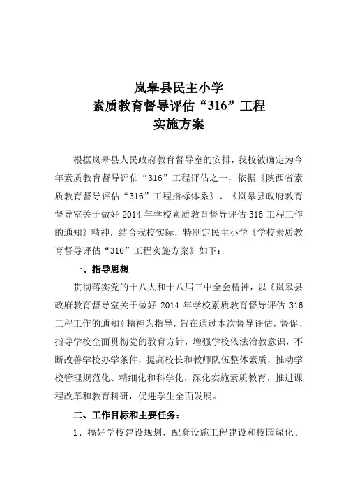 316工程实施方案