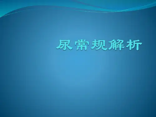 尿常规解析课件