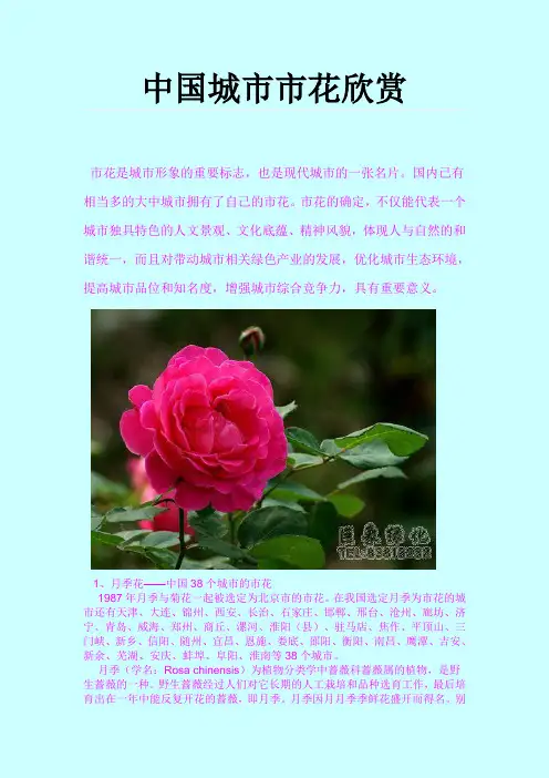 中国城市市花欣赏