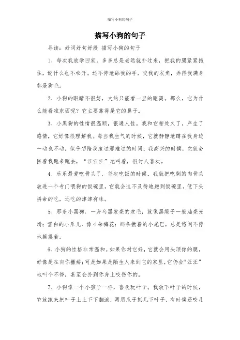 描写小狗的句子