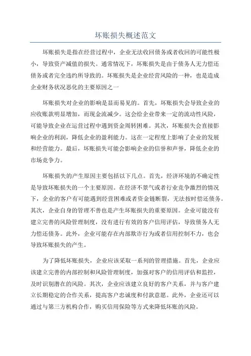 坏账损失概述范文