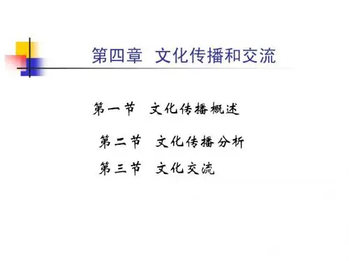 4章 文化传播