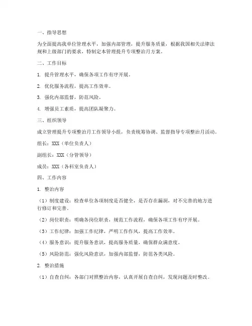 管理提升专项整治月方案