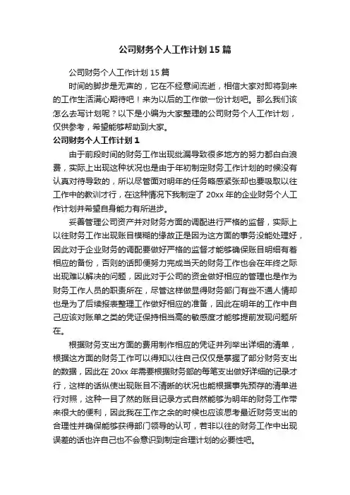 公司财务个人工作计划15篇