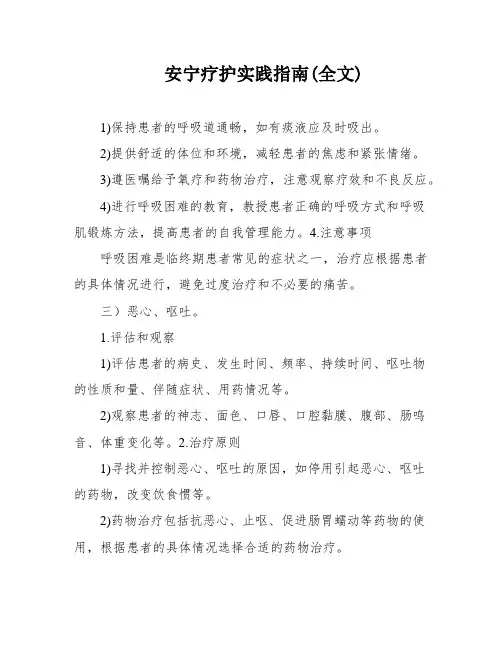 安宁疗护实践指南(全文)