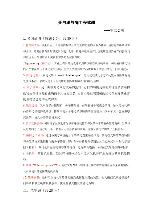 蛋白质与酶工程题目