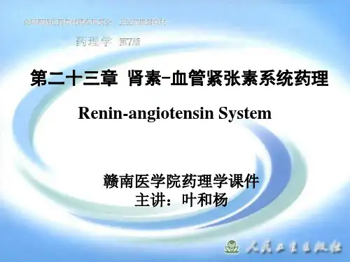 [精选]第二十三章肾素-血管紧张素系统药理名师编辑PPT课件--资料