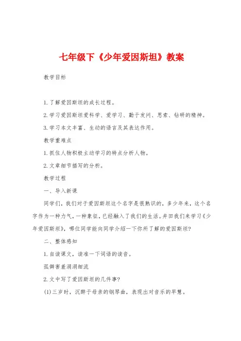 七年级下《少年爱因斯坦》教案