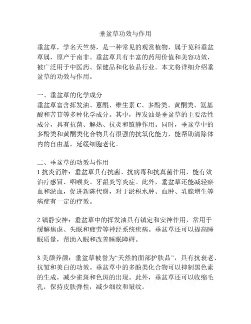 垂盆草功效与作用