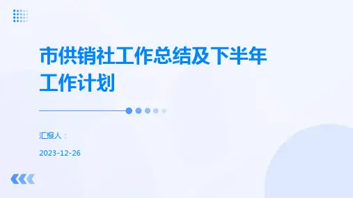 市供销社工作总结及下半年工作计划