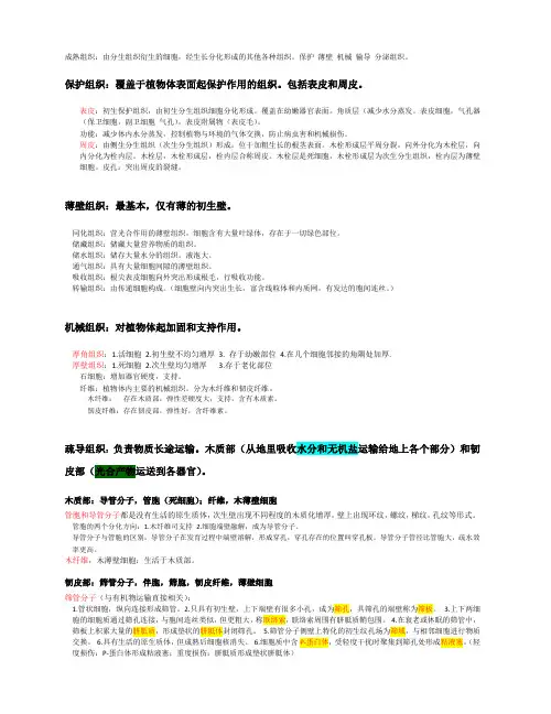 植物成熟组织总结