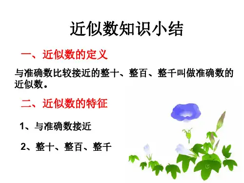 近似数