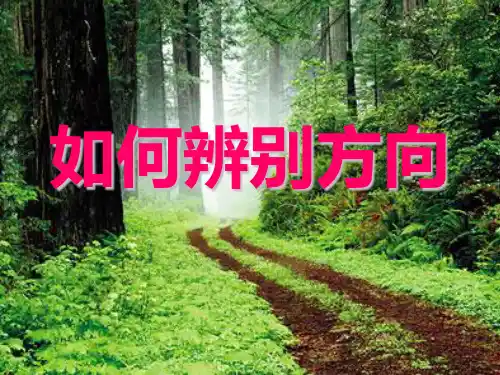 如何辨别方向？