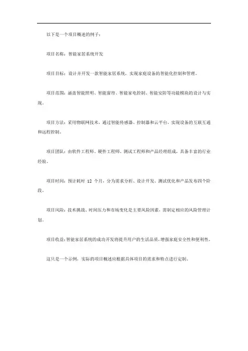 项目概述例子