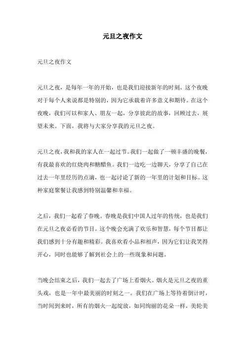 元旦之夜作文
