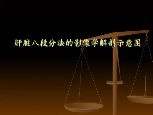 肝脏八段分法的影像学解剖示意图 ppt课件
