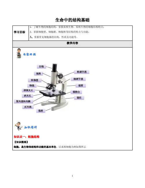 高中生物专题讲义《生命的结构基础》