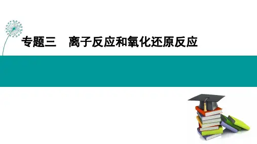 高考化学二轮复习课件：离子反应