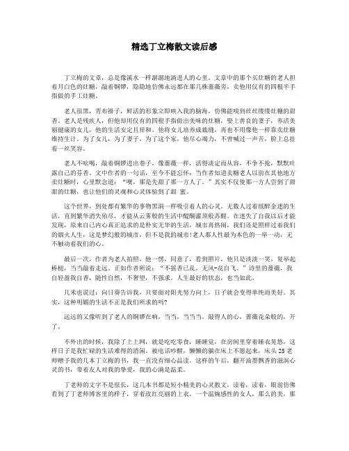 精选丁立梅散文读后感