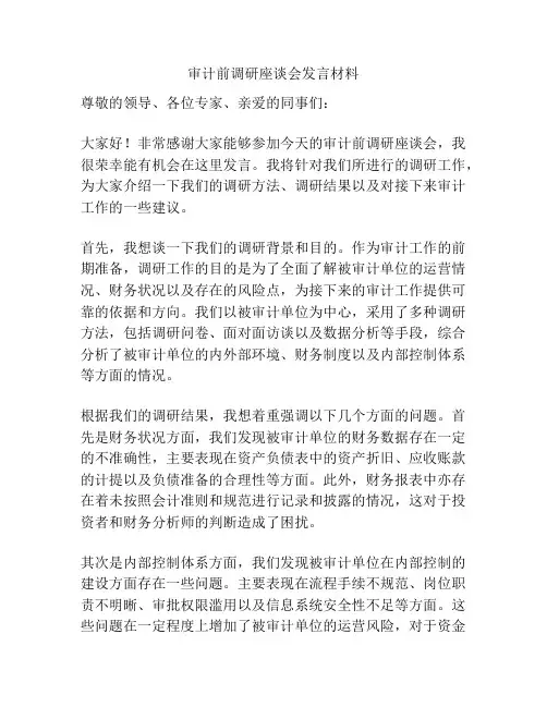 审计前调研座谈会发言材料