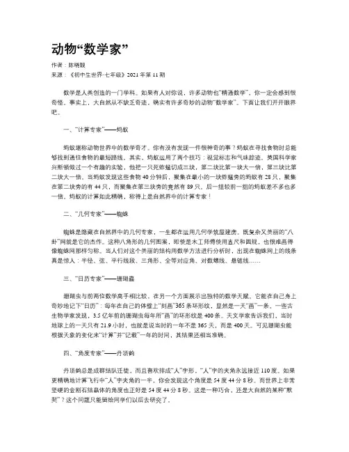 动物“数学家”
