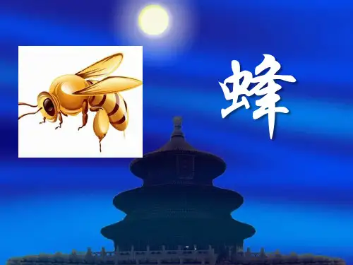 《蜂》PPT课件