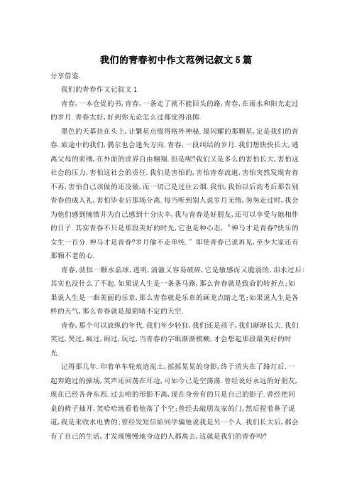 我们的青春初中作文范例记叙文5篇