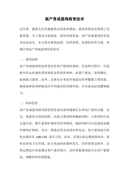高产育成蛋鸡培育技术