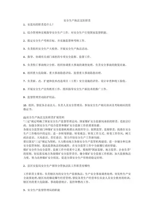 安全生产执法支队职责安全生产