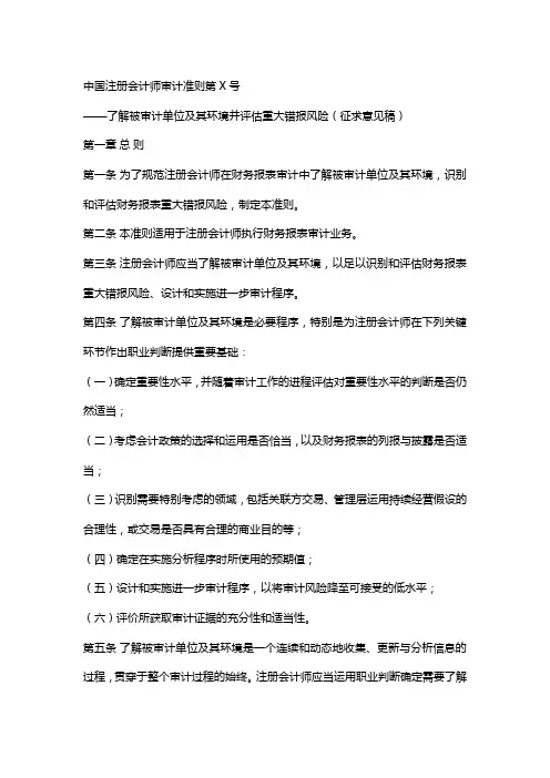 我国注册会计师审计准则详解