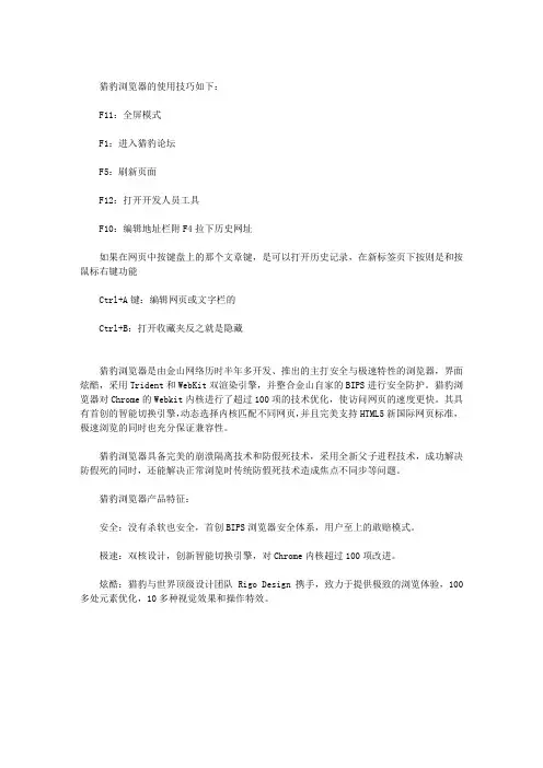 猎豹浏览器的使用技巧是什么