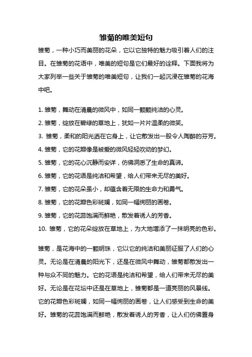 雏菊的唯美短句