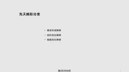 神经系统畸形课件