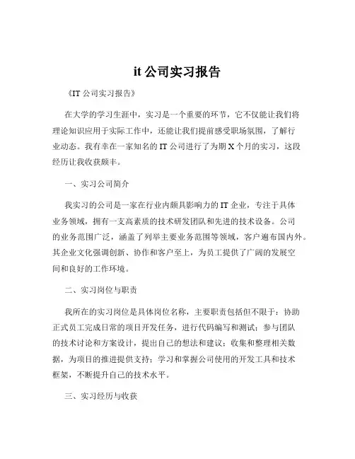 it公司实习报告