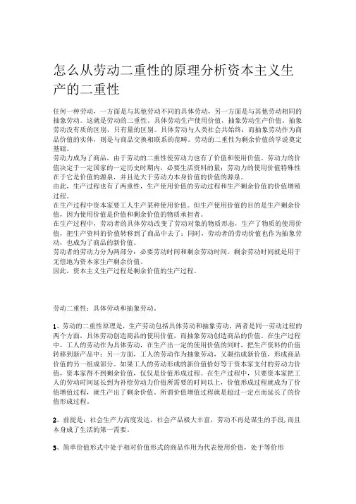 劳动的二重性原理分析剩余生产价值