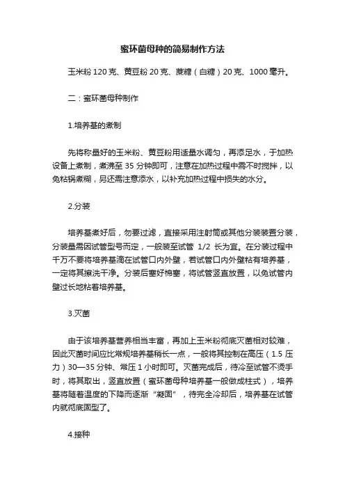 蜜环菌母种的简易制作方法