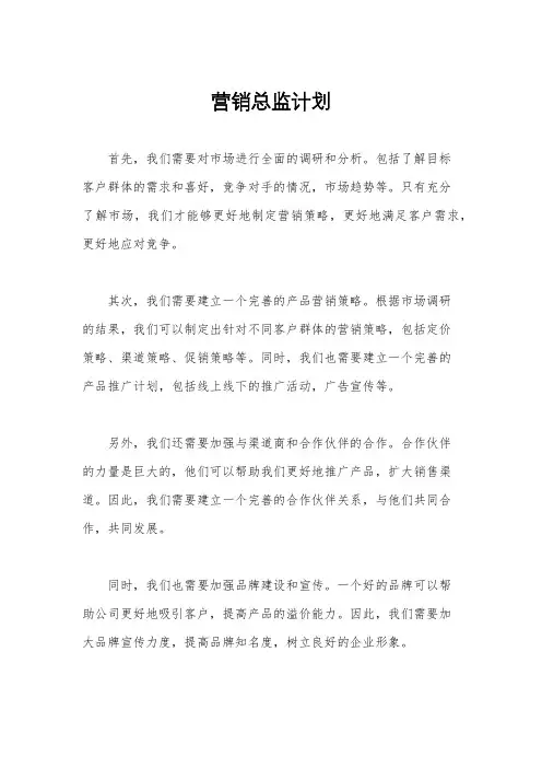 营销总监计划