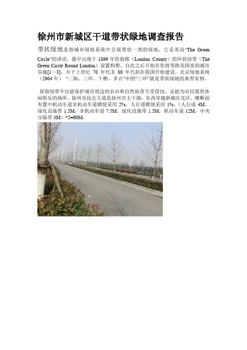 徐州市新城区干道带状绿地调查报告