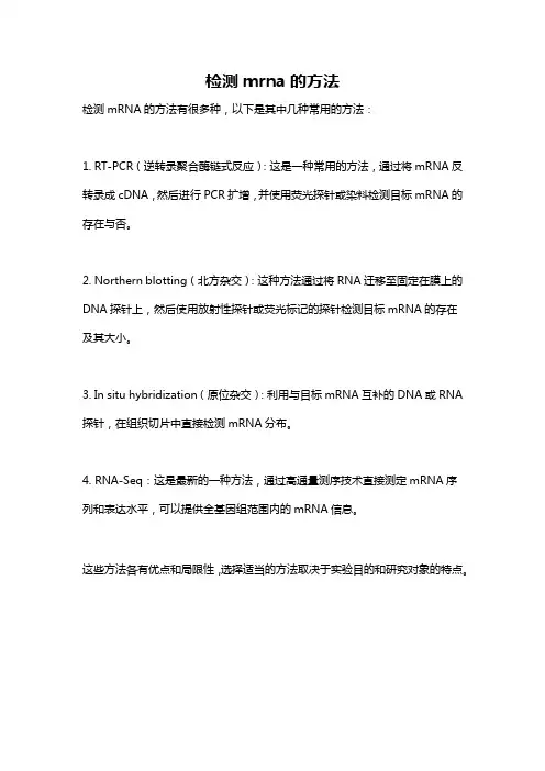 检测mrna的方法