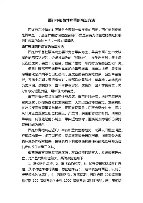 西红柿细菌性病害的防治方法