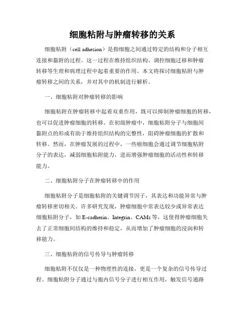 细胞粘附与肿瘤转移的关系