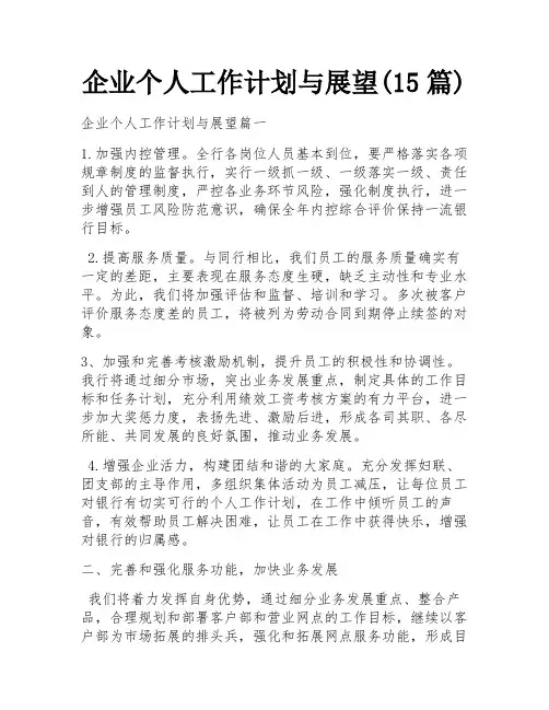 企业个人工作计划与展望(15篇)