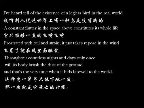 我亲爱的张国荣先生。英语演讲。