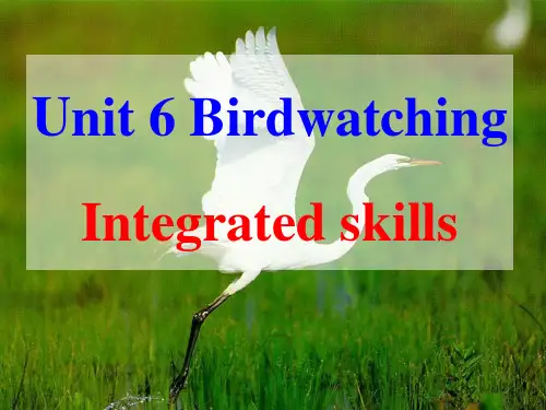 八年级上册(初二上学期,8A) Unit6 Birdwatching Integrated skills课件(19张PPT)