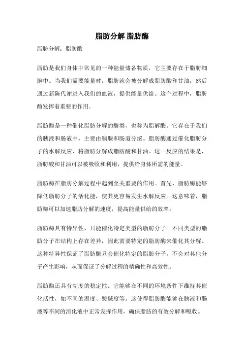 脂肪分解 脂肪酶