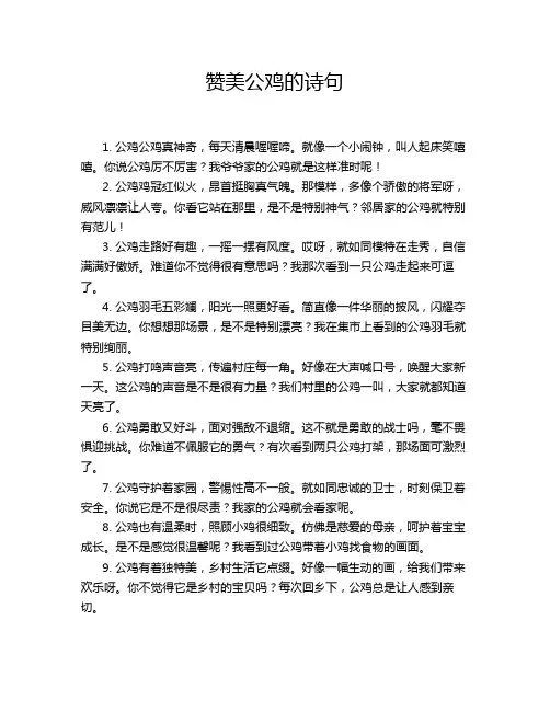 赞美公鸡的诗句