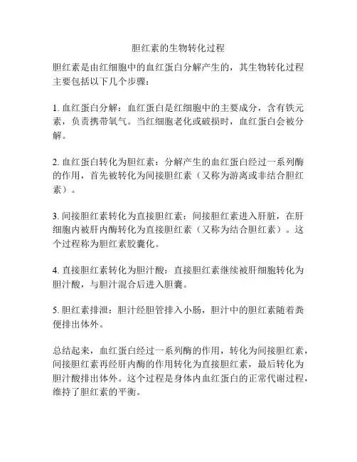 胆红素的生物转化过程
