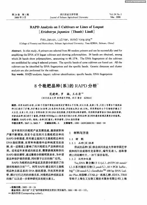 8个枇杷品种(系)的RAPD分析