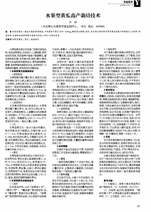 水果型黄瓜高产栽培技术
